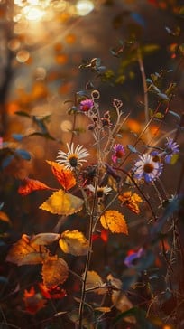 Canto al No&nbsp;saber